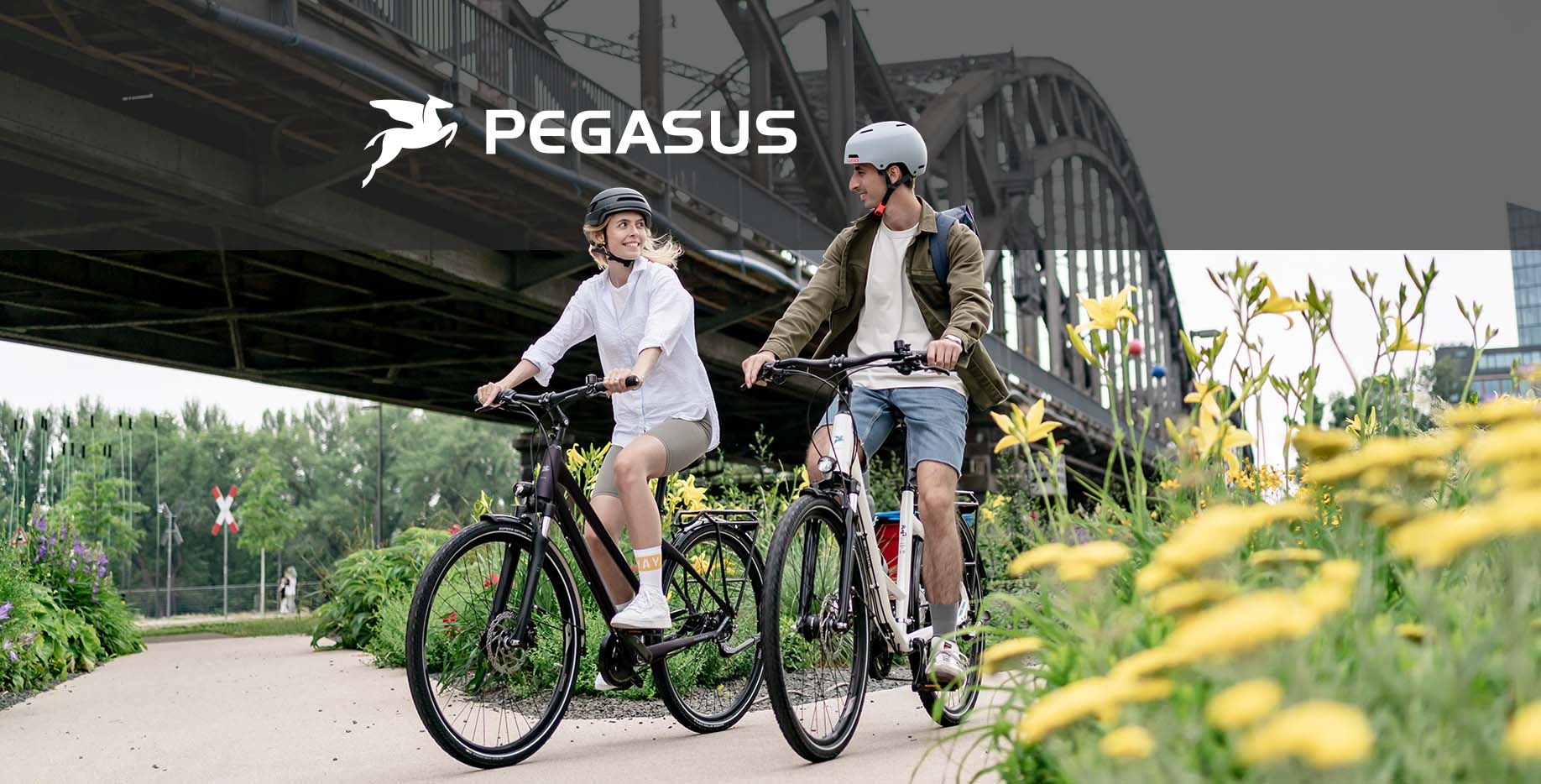 Markeneinstieg_Pegasus_Logo_2021